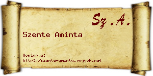 Szente Aminta névjegykártya